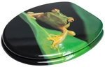 Sanilo WC-Sitz, BxL: 37,7 x 47 cm, Frosch Gruen