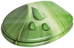 Sanilo WC-Sitz, BxL: 37,7 x 47 cm, Green Leaf - gruen