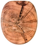 Sanilo WC-Sitz, BxL: 37,7 x 47 cm, Old Tree - braun