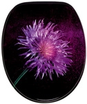 Sanilo WC-Sitz, BxL: 37,7 x 47 cm, Purple Dust - schwarz