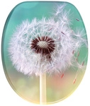 Sanilo WC-Sitz, BxL: 37,7 x 47 cm, Pusteblume - tuerkis
