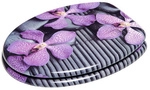 Sanilo WC-Sitz, BxL: 37,7 x 47 cm, Vanda - lila