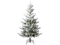 Evergreen Weihnachtsbaum »Cedar Frost«, Höhe: 210 cm, grün/weiß - gruen