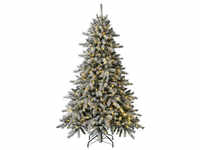 Evergreen Weihnachtsbaum »Fichte Frost«, Höhe: 180 cm, grün/weiß, beleuchtet -
