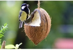 DOBAR Vogelfutter, verschiedene Ausf&uuml;hrungen - braun
