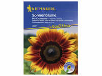 Kiepenkerl Sonnenblume, Helianthus annuus, Samen, Blüte: mehrfarbig