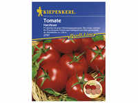 Kiepenkerl Salat-Tomate lycopersicum Solanum »Harzfeuer« - rot