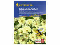 Kiepenkerl Schmuckkörbchen, Cosmos bipinnatus, Samen, Blüte: gelb