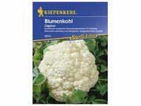 Kiepenkerl Blumenkohl oleracea var. botrytis Brassica