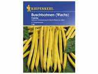 Kiepenkerl Buschbohne vulgaris var. nanus Phaseolus »Voletta«