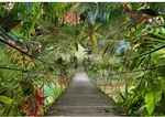 KOMAR Papiertapete &raquo;Wild Bridge&laquo;, Breite: 368 cm, inkl. Kleister - bunt
