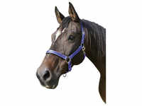 Covalliero Halfter »Mustang«, passend für , Gr. 2, royalblau/schwarz