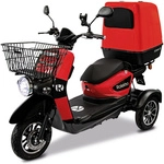 Rolektro Elektroroller &raquo;E-Carrier&laquo;, max. 25 km/h, Reichweite: 90 km