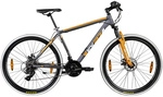 Z&Uuml;NDAPP Mountainbike &raquo;FX&laquo;, mechanische Scheibenbremse, 21-Gang - grau