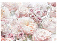 KOMAR Papiertapete »Spring Roses«, Breite: 368 cm, inkl. Kleister - bunt