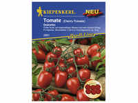 Kiepenkerl Cherry-Tomate lycopersicum Solanum »Dolcetto« - rot