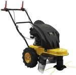 TEXAS Benzin-Motorsense &raquo;Pro Trim 600TR&laquo; - gelb