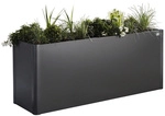 BIOHORT Hochbeet, BxHxL: 201 x 77 x 53 cm, Stahlblech - grau