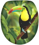 Sanilo WC-Sitz &raquo;Toucan&laquo;, mit Absenkautomatik Toucan, Gr&uuml;n, Oval - gruen