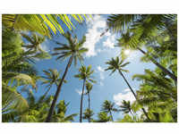 KOMAR Vliestapete »Coconut Heaven «, Breite 450 cm, seidenmatt - bunt