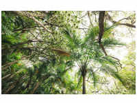 KOMAR Vliestapete »Touch the Jungle «, Breite 450 cm, seidenmatt - bunt