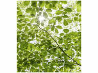 KOMAR Vliestapete »Im Frühlingswald«, Breite 250 cm, seidenmatt - bunt