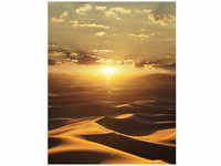 marburg Vliestapete »Dune DD«, Wüste, Sonnenaufgang, orange/braun