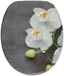 Sanilo WC-Sitz, BxL: 37,7 x 47 cm, Pretty - grau