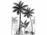 marburg Vliestapete »Smart Art Easy«, Dschungel, Palmen, schwarz/weiß