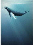 KOMAR Vliestapete &raquo;Into Adventure&laquo;, Breite 200 cm, matt - blau