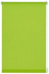 GARDINIA Rollo &raquo;Easyfix&laquo;, apfelgr&uuml;n, Polyester - gruen