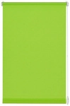 GARDINIA Rollo &raquo;Easyfix&laquo;, apfelgr&uuml;n, Polyester - gruen