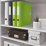 LEITZ Ordner R&uuml;ckenbreite 6.5 cm DIN A4 Kunststoff gr&uuml;n Rauten