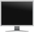 EIZO FlexScan S2134-GY LCD-Monitor 54 cm 21,3 Zoll