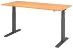 HAMMERBACHER VXMKA19/6/G elektrisch h&ouml;henverstellbarer Schreibtisch 70,0 - 120,0 cm