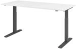 HAMMERBACHER VXMKA19/W/G elektrisch h&ouml;henverstellbarer Schreibtisch 70,0 - 120,0 cm