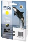 Epson Original T7604 Druckerpatrone gelb 25,9ml (C13T76044010)
