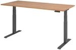 HAMMERBACHER Schreibtisch VXDKB19/N/G nussbaum