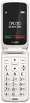 Gigaset GL595 2G Feature Phone 32 MB RAM/ 32MB Speicher 7,1 cm (2,8") Wei&szlig;