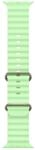 Apple Watch Ocean&nbsp;Band 49mm Titan Natur (Neongr&uuml;n)