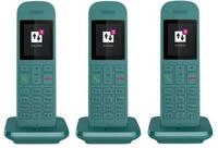 TELEKOM Speedphone 12 Trio petrol