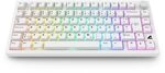Sharkoon Tastatur Skiller SGK55W kabellos TKL 75% wei&szlig; Linear, DE-Layout