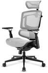 Sharkoon Stuhl OfficePal C50M schwarz-grau