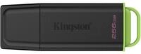 Kingston DataTraveler Exodia USB-Stick 256 GB