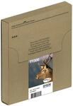 Epson Original Easy Mail Packing T1306 Hirsch Druckerpatronen 3er Multipack C/M/Y
