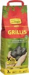 proFagus&reg; Holzkohle GRILLIS