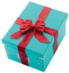 LEITZ Aufbewahrungsbox 7,4 l - 21,6 x 28,2 x 16,0 cm eisblau