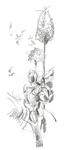 FABER-CASTELL Bleistifte