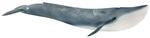 Schleich&reg; Blauwal 14806