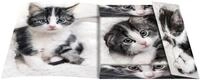 RNK-Verlag Zeichenmappe A3 Katze
